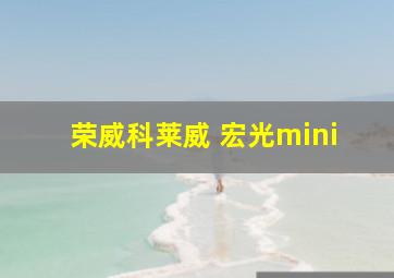 荣威科莱威 宏光mini